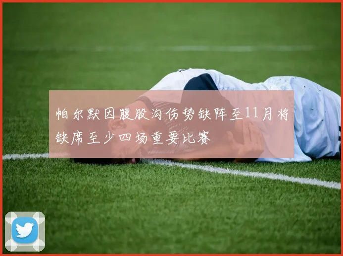 帕尔默因腹股沟伤势缺阵至11月将缺席至少四场重要比赛