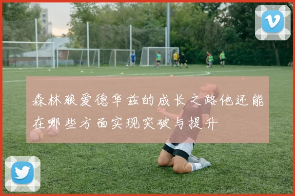 森林狼爱德华兹的成长之路他还能在哪些方面实现突破与提升
