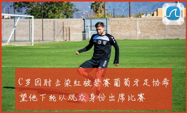 C罗因肘击染红被禁赛葡萄牙足协希望他下轮以观众身份出席比赛
