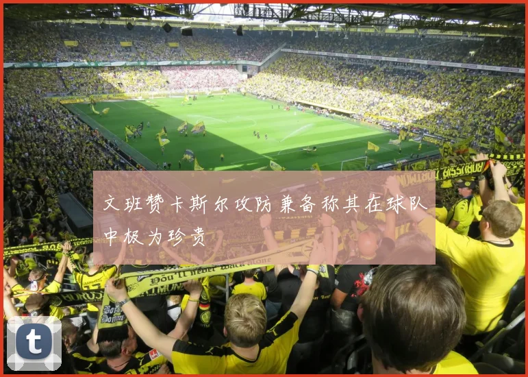 文班赞卡斯尔攻防兼备称其在球队中极为珍贵